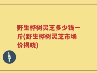 野生桦树灵芝多少钱一斤(野生桦树灵芝市场价揭晓)