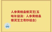 人参黄精桑椹灵芝(五味补益汤：人参黄精桑椹灵芝之奇妙组合)