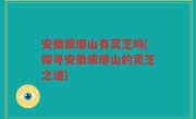 安徽琅琊山有灵芝吗(探寻安徽琅琊山的灵芝之谜)