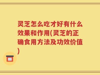 灵芝怎么吃才好有什么效果和作用(灵芝的正确食用方法及功效价值)