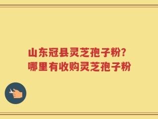 山东冠县灵芝孢子粉？哪里有收购灵芝孢子粉