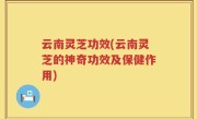云南灵芝功效(云南灵芝的神奇功效及保健作用)