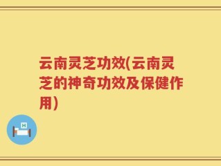 云南灵芝功效(云南灵芝的神奇功效及保健作用)