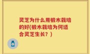 灵芝为什么用椴木栽培的好(椴木栽培为何适合灵芝生长？)