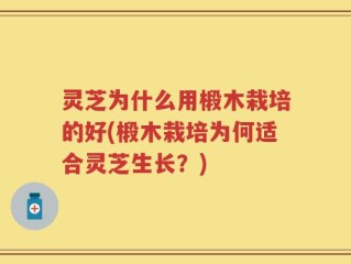灵芝为什么用椴木栽培的好(椴木栽培为何适合灵芝生长？)