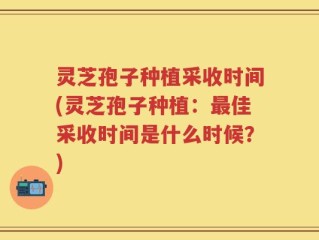 灵芝孢子种植采收时间(灵芝孢子种植：最佳采收时间是什么时候？)