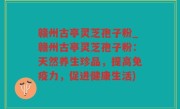 赣州古亭灵芝孢子粉_赣州古亭灵芝孢子粉：天然养生珍品，提高免疫力，促进健康生活)