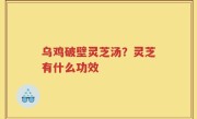 乌鸡破壁灵芝汤？灵芝有什么功效