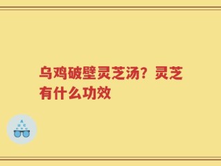 乌鸡破壁灵芝汤？灵芝有什么功效