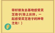 带好朋友去基地感受灵芝孢子(带上伙伴，一起感受灵芝孢子的神奇之处！)