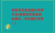 新款灵芝套盒图片欣赏大全(精美灵芝套盒新品展示，尽在图片欣赏！)