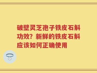 破壁灵芝孢子铁皮石斛功效？新鲜的铁皮石斛应该如何正确使用