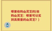哪里收购山灵芝的(收购山灵芝：哪里可以买到高质量的山灵芝？)