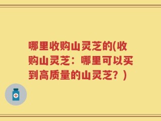 哪里收购山灵芝的(收购山灵芝：哪里可以买到高质量的山灵芝？)