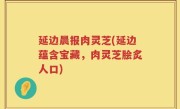 延边晨报肉灵芝(延边蕴含宝藏，肉灵芝脍炙人口)