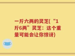 一斤六两的灵芝(“1斤6两”灵芝：这个重量可能会让你惊讶)