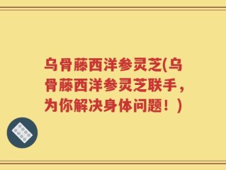 乌骨藤西洋参灵芝(乌骨藤西洋参灵芝联手，为你解决身体问题！)