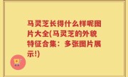马灵芝长得什么样呢图片大全(马灵芝的外貌特征合集：多张图片展示!)