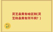 灵芝桑黄有啥区别(灵芝和桑黄有何不同？)