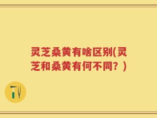 灵芝桑黄有啥区别(灵芝和桑黄有何不同？)