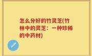 怎么分好的竹灵芝(竹林中的灵芝：一种珍稀的中药材)
