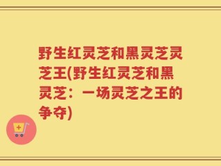 野生红灵芝和黑灵芝灵芝王(野生红灵芝和黑灵芝：一场灵芝之王的争夺)