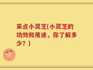 采点小灵芝(小灵芝的功效和用途，你了解多少？)