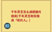 千年灵芝怎么减肥图片搞笑(千年灵芝助你瘦成「纸片人」)