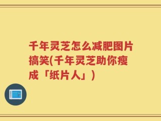千年灵芝怎么减肥图片搞笑(千年灵芝助你瘦成「纸片人」)