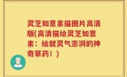灵芝如意素描图片高清版(高清描绘灵芝如意素：绘就灵气澎湃的神奇草药！)