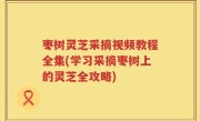 枣树灵芝采摘视频教程全集(学习采摘枣树上的灵芝全攻略)