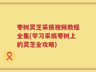 枣树灵芝采摘视频教程全集(学习采摘枣树上的灵芝全攻略)