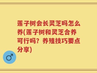 莲子树会长灵芝吗怎么养(莲子树和灵芝合养可行吗？养殖技巧要点分享)