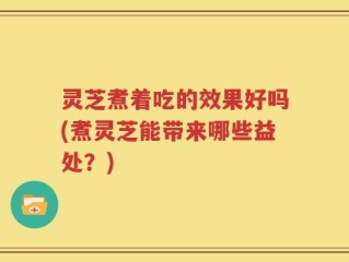 灵芝煮着吃的效果好吗(煮灵芝能带来哪些益处？)