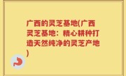 广西的灵芝基地(广西灵芝基地：精心耕种打造天然纯净的灵芝产地)