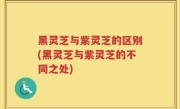 黑灵芝与紫灵芝的区别(黑灵芝与紫灵芝的不同之处)