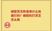 破壁灵芝粉是用什么机器打的？破壁机打灵芝怎么做