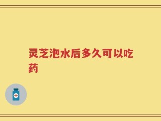灵芝泡水后多久可以吃药