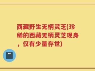 西藏野生无柄灵芝(珍稀的西藏无柄灵芝现身，仅有少量存世)