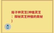 隘子种灵芝(种植灵芝：探秘灵芝种植的奥秘)
