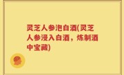 灵芝人参泡白酒(灵芝人参浸入白酒，炼制酒中宝藏)