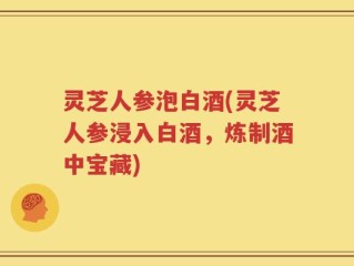 灵芝人参泡白酒(灵芝人参浸入白酒，炼制酒中宝藏)