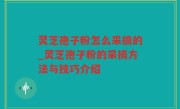 灵芝孢子粉怎么采摘的_灵芝孢子粉的采摘方法与技巧介绍