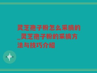 灵芝孢子粉怎么采摘的_灵芝孢子粉的采摘方法与技巧介绍