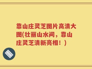 靠山庄灵芝图片高清大图(壮丽山水间，靠山庄灵芝清新亮相！)