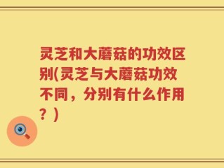 灵芝和大蘑菇的功效区别(灵芝与大蘑菇功效不同，分别有什么作用？)