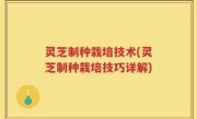 灵芝制种栽培技术(灵芝制种栽培技巧详解)