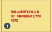 肇庆盆景灵芝(肇庆盆景：刻技绝艳灵芝生机勃发)