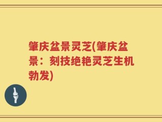 肇庆盆景灵芝(肇庆盆景：刻技绝艳灵芝生机勃发)