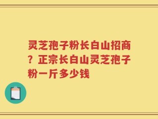 灵芝孢子粉长白山招商？正宗长白山灵芝孢子粉一斤多少钱
